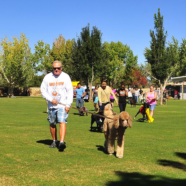 Pets Alive - El Paso Howl-O-Wine Dog Walk