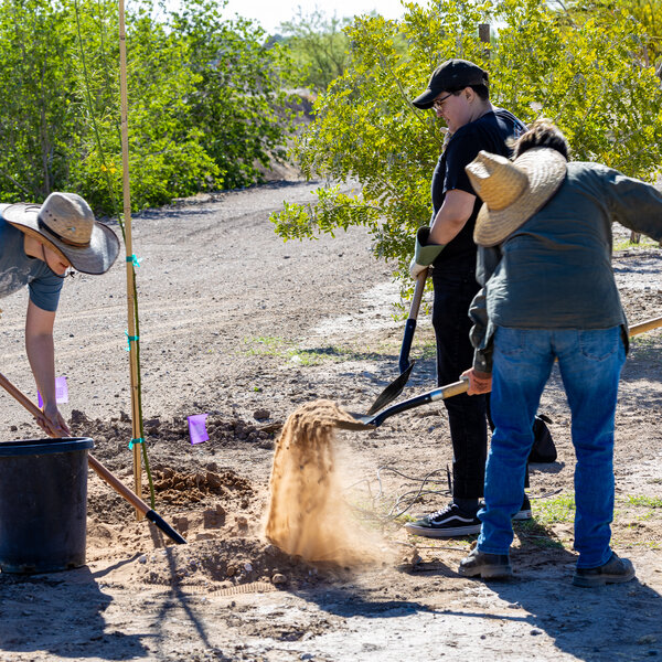 Celebrate Trails Day: Planting Roots with the Community
