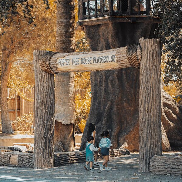 Foster Treehouse playground