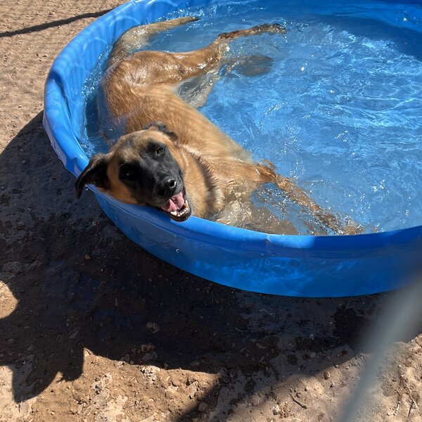 Kona enjoy the water 