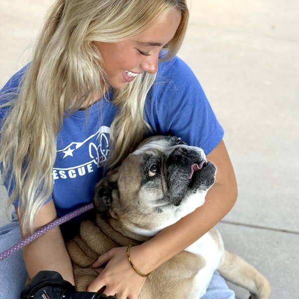 Meet Emily! Found abandoned with an injured paw, this sweet girl is now striking a pose for a good cause!