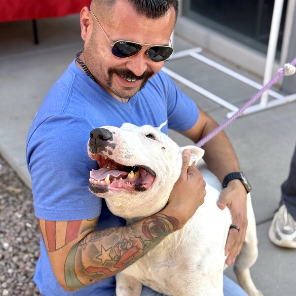 Meet Stuart! 💙 A sweet senior boy and cruelty survivor who has endured so much. Despite his difficult past, he remains a loving soul.