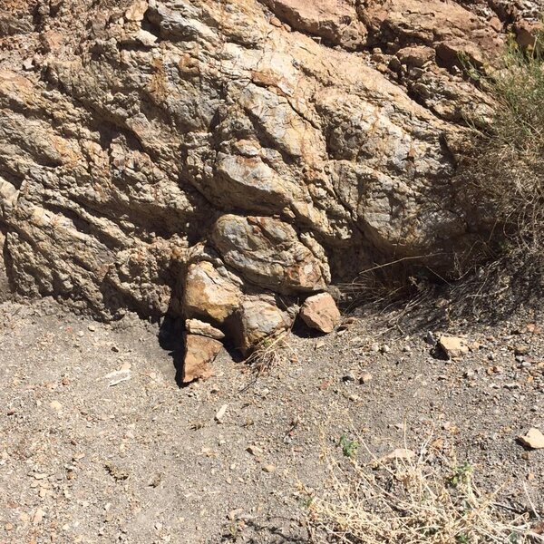 Fossilized Dinosaur track. Can you see it in the rock? Help support the development of our outdoor classroom and park where fossilized Dinosaur tracks were discovered