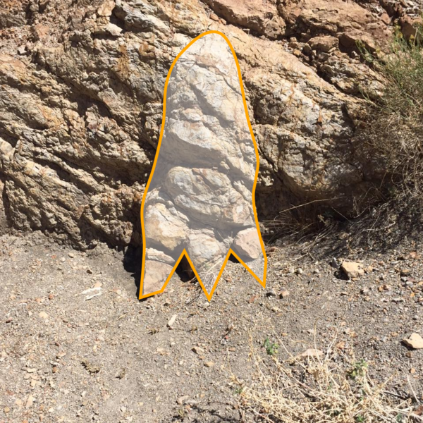 Fossilized Dinosaur track. Outlined. Help support the development of our outdoor classroom and park where fossilized Dinosaur tracks were discovered