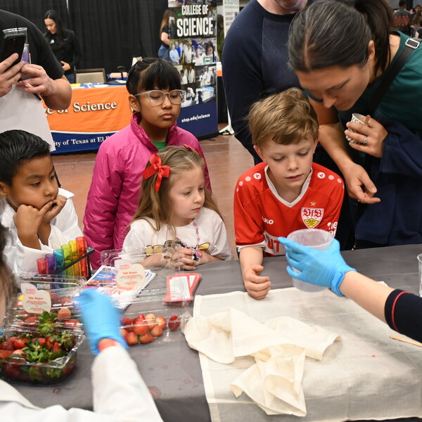 STEM at the Science Festival