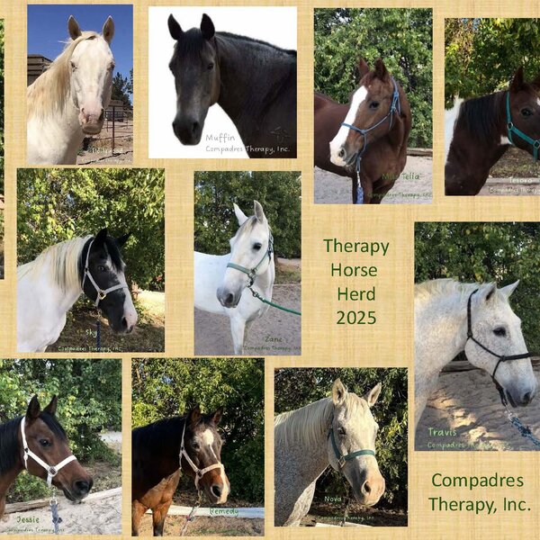 Compadres Therapy, Inc. Therapy Horse Herd 2025