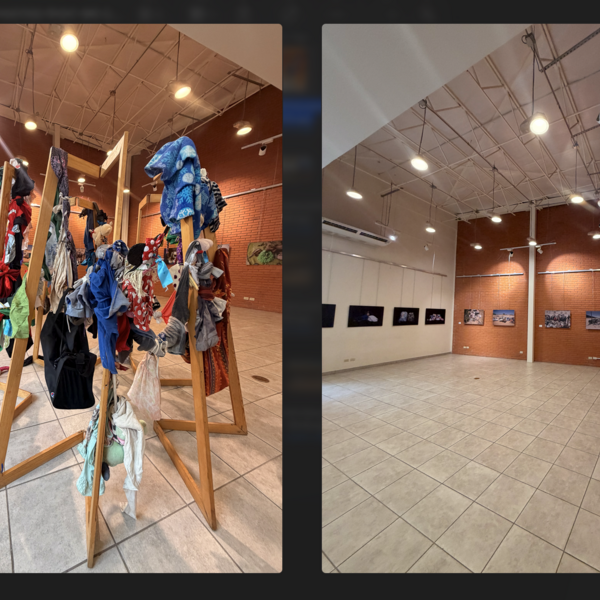 Exhibition at Museo Tin Tan in Ciudad Juarez celebrating the 40th Anniversary of Programa Compañeros A.C.