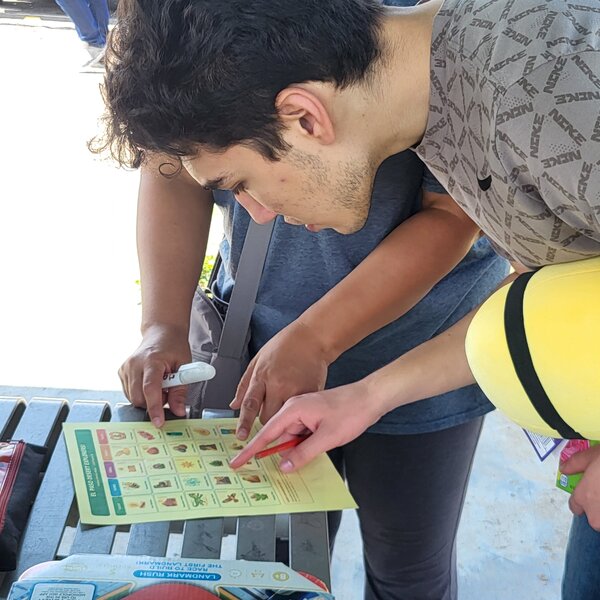 Entertainment Month: Sensory Bingo at the park