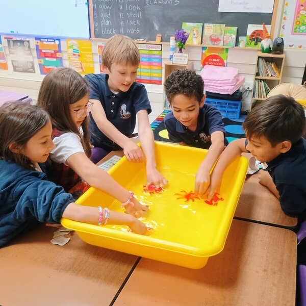 Joyful Learning