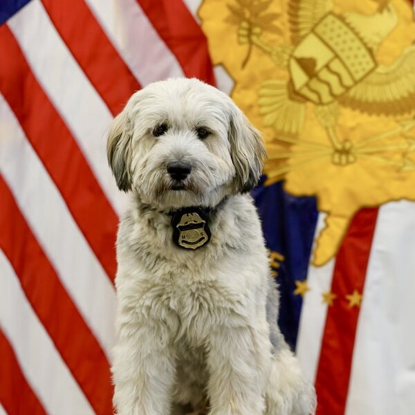 Bentley's journey began on the streets of Juarez, Mexico before he arrived at ARL. Bently graduated with Hercules on September 26th and is stationed in Washington, D.C.