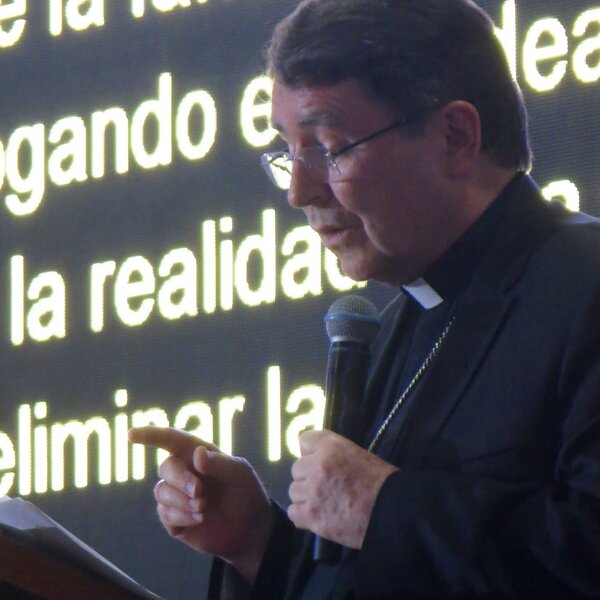 Cardinal Pierre